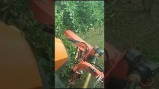 Krzaki wyższe od traktora ! żaden problem ! mulczowanie gałęzi z Zeppelin 1800PP