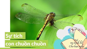 Mẹ kể bé nghe - Sự tích con chuồn chuồn