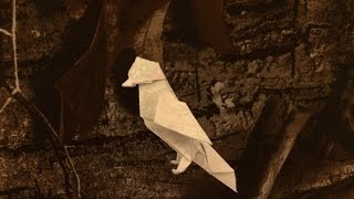 Origami | How to make a beautiful robin(bird)