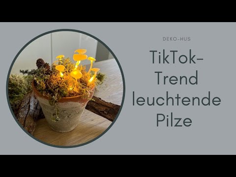 Herbstdeko: Leuchtende Pilze TikTok Trend 