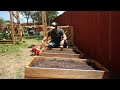 Raised bed mix in the kitchen garden  espoma organic