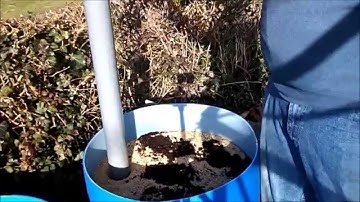 Gardening with Rik: Planting the show parsnips
