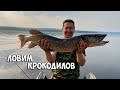 Речные монстры. Ловим гигантских щук одну за другой