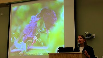 "Space Matters! How Active Learning Classrooms Affect Teaching and Learning"- Dr. Robin Wright