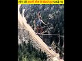 People playing with their own death#fact #new #unique #animals #story