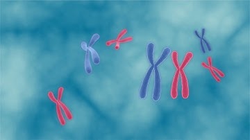 Accurate detection of fusion genes by NGS