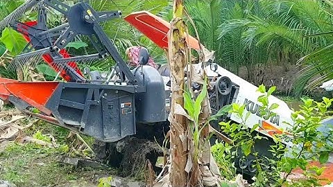 CẢNH MÁY CẮT LÚA KUBOTA DC 70 plus XUỐNG PHÀ DỐC CAO KHỦNG