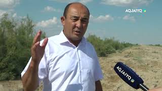 видео:  картинка: