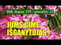 JUMS GIMĖ IŠGANYTOJAS!  -  BŪK DRĄSUS (359)