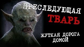 ЭТА ТВАРЬ ПРЕСЛЕДОВАЛА МЕНЯ. Кошмарная дорога домой ЭТА ТВАРЬ ПРЕСЛЕДОВАЛА МЕНЯ. Кошмарная дорога домой