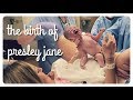 presley's birthday | baby girl's birth vlog