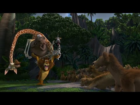 Madagascar - fossa fight