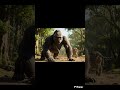 AI Flashbacks in the Jungle 🧠🌿 | The Gorilla Remembers the Lab Fire | Sci-Fi Short #GorillaAI #ai
