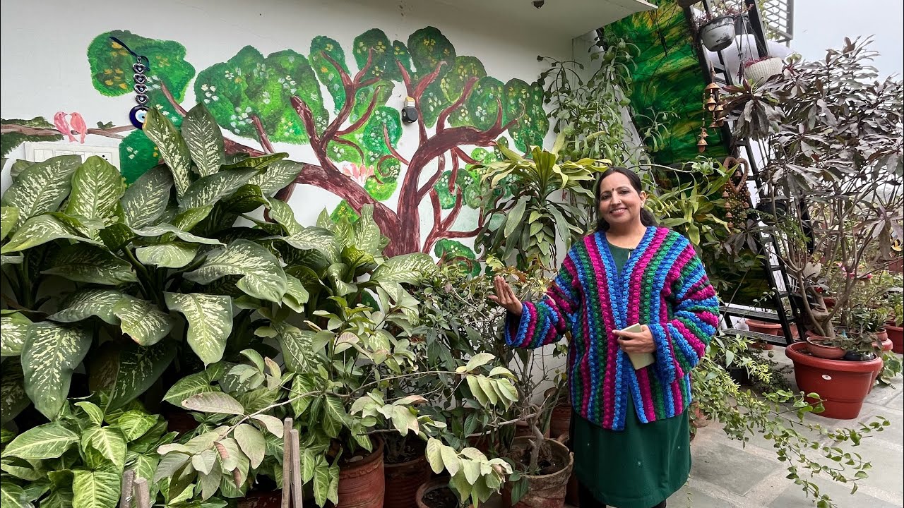 छत पर बागवानी शुरू करने से पहले अनीता जी की ये बातें जरूर सुने 😱🪴 Delhi Garden Tour Part-02