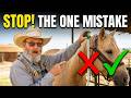 Horse harness measuring mistake most people make & bonus trainning clip
