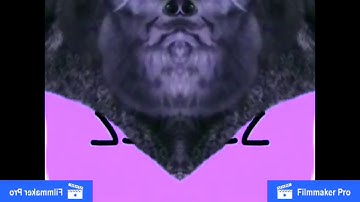 REQUESTED Windows Fuzz History Has a Conga Busher