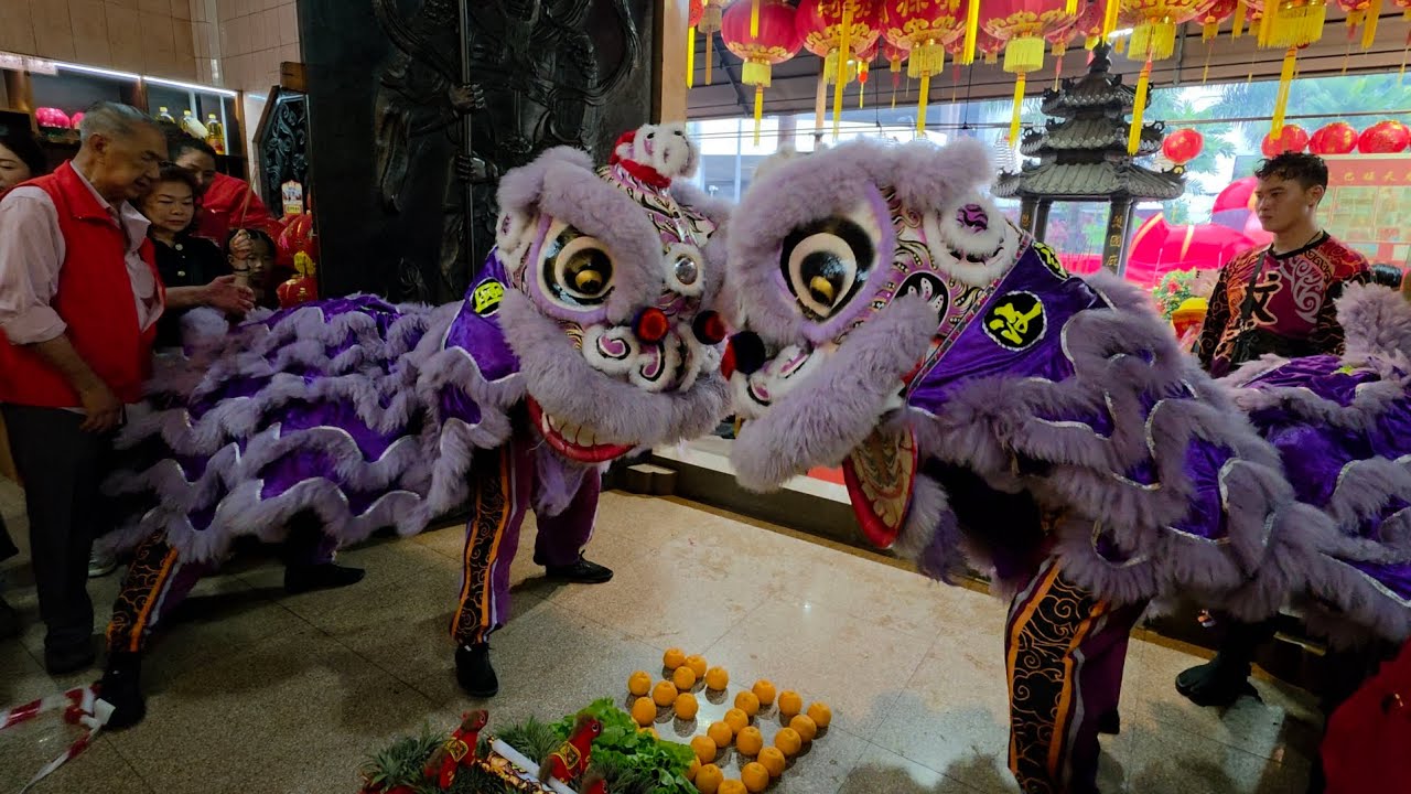 新加坡汶詠龍獅團 Singapore Wen Yong Dragon & Lion Dance Performances at 三巴旺天后宫 17/02/26