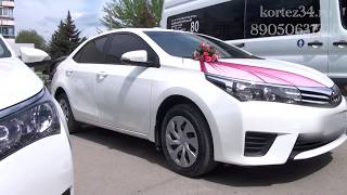Свадебный авто кортеж в Волгограде. Кортеж 34 - все районы. Машины и украшения на свадьбу Свадебный авто кортеж в Волгограде. Кортеж 34 - все районы. Машины и украшения на свадьбу