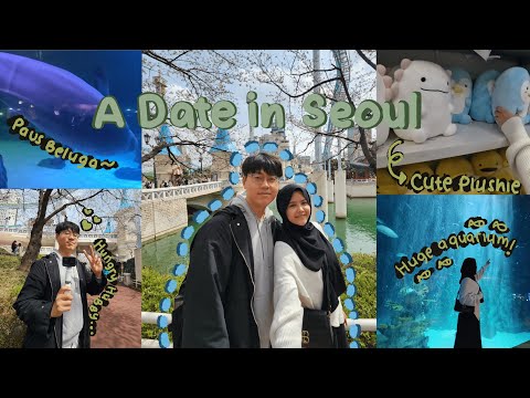 Korea-Indonesia Couple| Lihat Bunga Sakura 🌸 dan Paus Beluga 🐳 인도네시아한국인커플 벚꽃 나들이|롯데아쿠아리움|