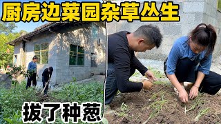Download Lagu 在农村生活,干农活是必要的技能,老公经过两个月的学习,现在干的也是有模有样 MP3 Download Lagu 在农村生活,干农活是必要的技能,老公经过两个月的学习,现在干的也是有模有样 MP3