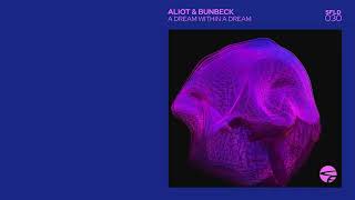 Aliot &amp; Bunbeck feat. Ayshan - Last Breath
