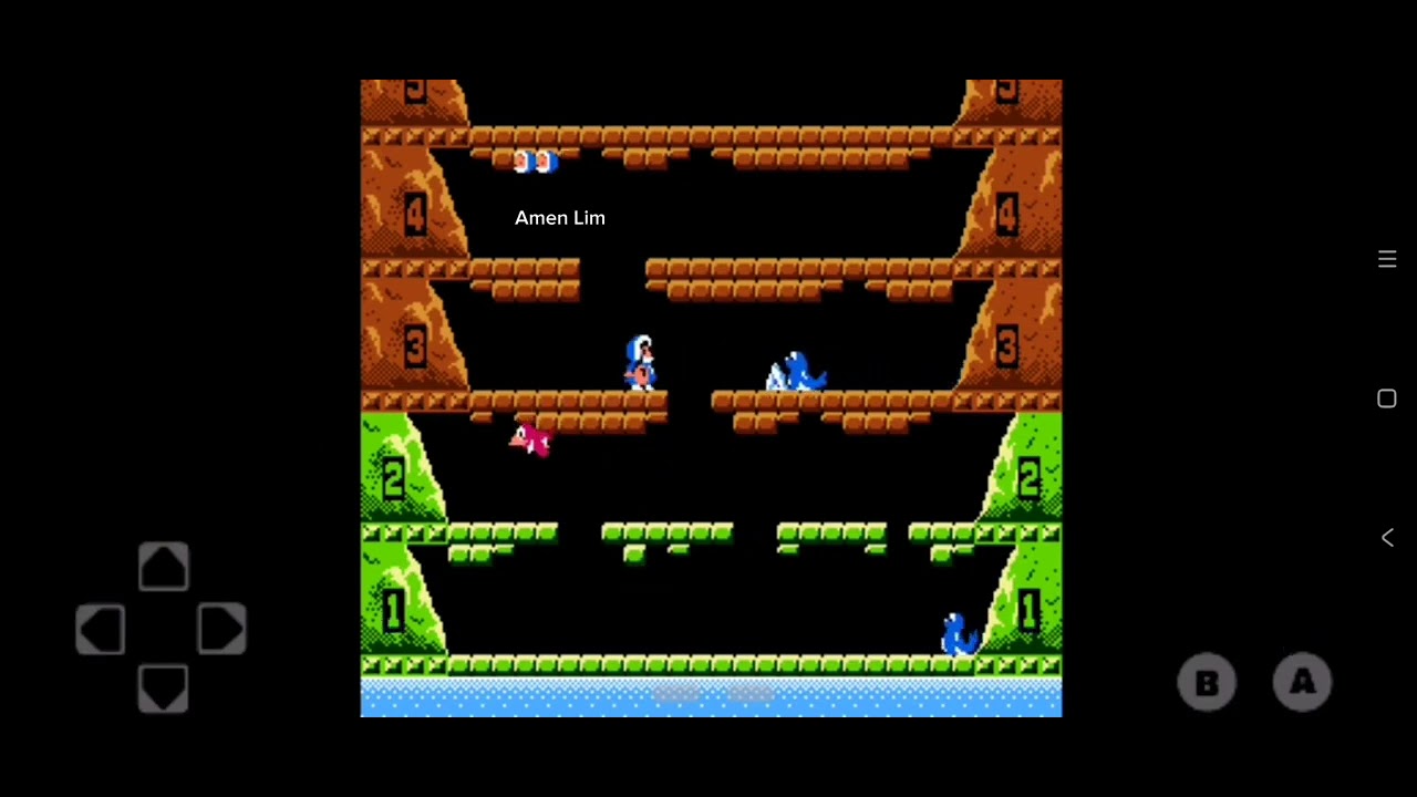 nostalgia play Ice Climber (NES) YouTube