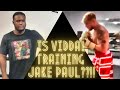 Is Viddal Riley training Jake Paul? Viddal comes clean