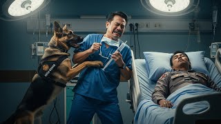 Download Lagu Anjing Gigit Dokter yang Cabut Alat Napas Majikan Kebenarannya Bikin Rumah Sakit Gempar MP3 Download Lagu Anjing Gigit Dokter yang Cabut Alat Napas Majikan Kebenarannya Bikin Rumah Sakit Gempar MP3