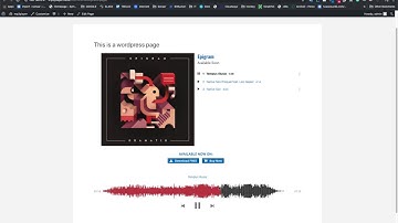 MP3 Music Player for WordPress by Sonaar - Overview [OLD VERSION]