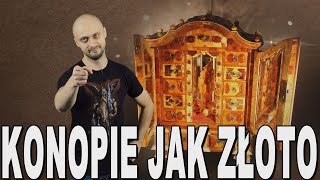 Konopie jak złoto - bogactwa naturalne w historii. Historia Bez Cenzury