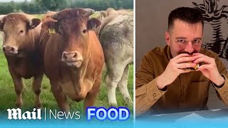 Watch exactly how your McDonald's burger is made - from farm to table