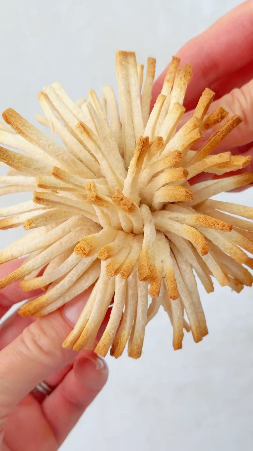 Toast Pom Poms - YouTube