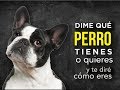 Dime qué perro tienes y te diré quien eres