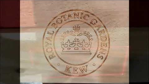 Markem Imaje & Nexus Australia: Laser Marking Wood Demonstration