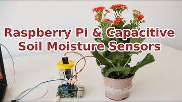 Raspberry Pi and Capacitive Soil Moisture Sensors for Gardening