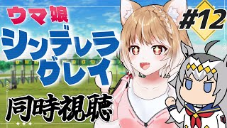 まるちぃの配信のサムネイル画像