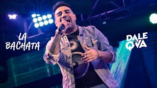 Dale Q´ Va - La Bachata (En Vivo)