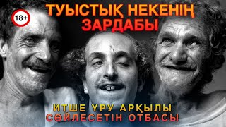 видео: ТУЫСТЫҚ НЕКЕНІҢ КЕСІРІНЕН ИТШЕ ҮРЕТІН УИТТАКЕРЛЕР ОТБАСЫ ЖӘНЕ ОСЫҒАН ҰҚСАС ОТБАСЫЛАР. Пайдалы видео. картинка: ТУЫСТЫҚ НЕКЕНІҢ КЕСІРІНЕН ИТШЕ ҮРЕТІН УИТТАКЕРЛЕР ОТБАСЫ ЖӘНЕ ОСЫҒАН ҰҚСАС ОТБАСЫЛАР. Пайдалы видео.