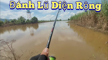 Câu Cá Lóc Mùa Lũ. Cá Nhỏ Lớn Đều Lụm Hết..Trần Tài Vlog