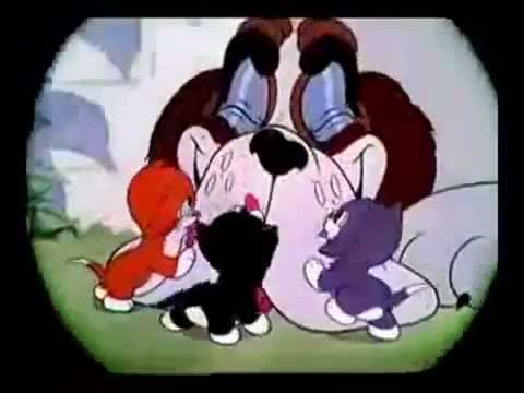 More Kittens - Silly Symphony