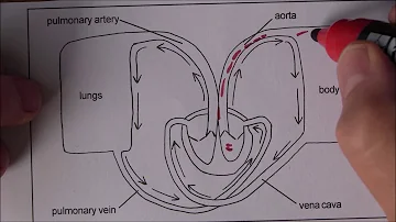 Jak vytvořit injekční stříkačku?