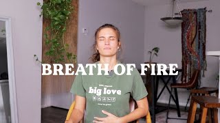 2 Minute Reset ⚡️  Guided Breathwork