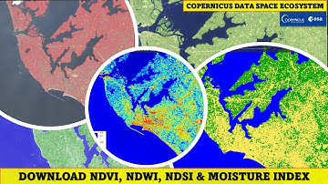 Download NDVI, NDWI, NDSI & Moisture Index from Copernicus Data Space Ecosystem