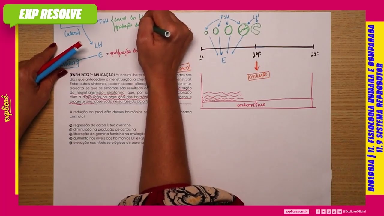 MUITAS MULHERES SOFREM COM DESCONFORTOS NOS DIAS QUE ANTECEDEM A (...) | SISTEMA REPRODUTOR