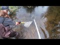 Electrofishing small trout stream