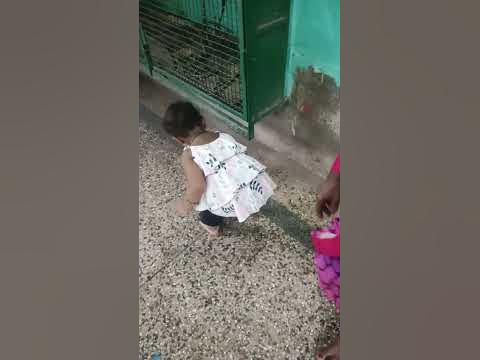 soumya playing with cat.😻 - YouTube