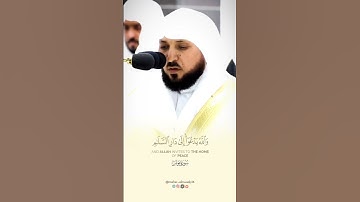 ﴿وَاللَّهُ يَدْعُو إِلَى دَارِ السَّلَامِ ﴾ تلاوة خاشعة لفضيلة الشيخ د. #ماهر_المعيقلي