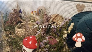 cage tour- IKEA linnmon diy (lofi music)🤍🌱 |Kat Noelles Cuties