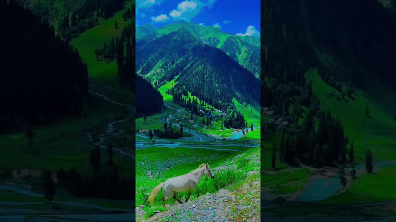Kashmir 😍⛰️ 