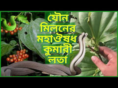 ভিডিও: হরিণ কি গাঁদা গাছ খাবে?